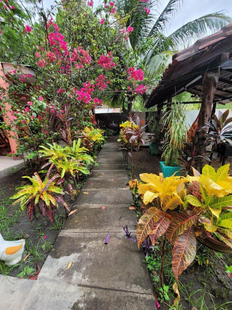 Ometepe House Moyogalpa Exterior foto